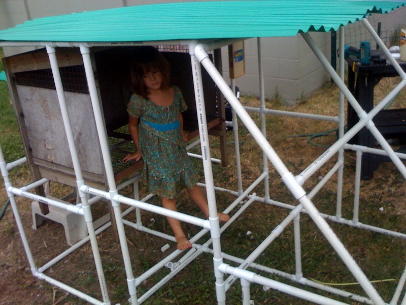 My Daily Moving PVC Chicken Coop Taking Shape | The Maui ...
